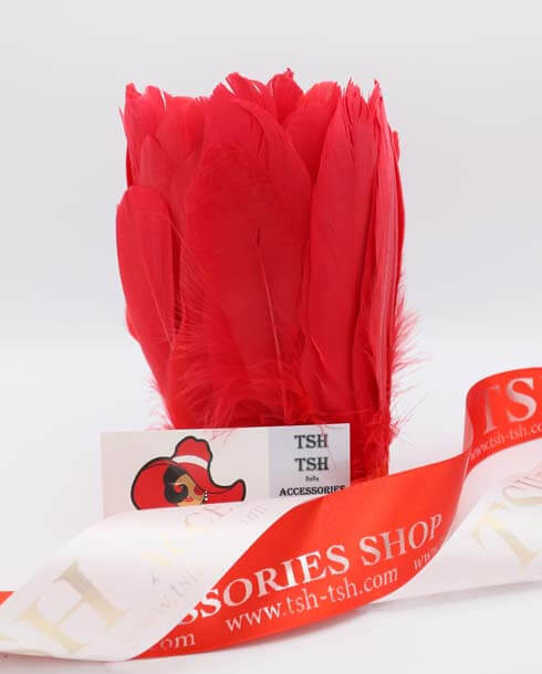Feather Fringe Sewing Trim Red